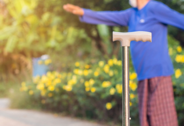 Etapas de la demencia 4 demencia-senil