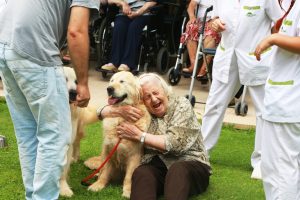 Beneficios de la terapia con animales para las personas mayores 1 beneficios de la terapia con animales para las personas mayores